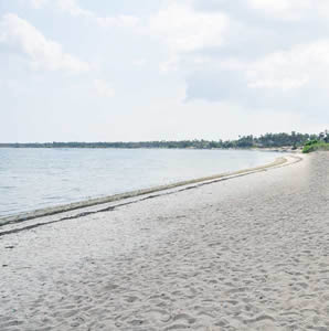 Chatty Beach